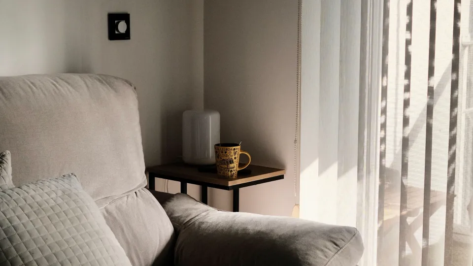 Cozy sofa bathed in afternoon sunlight by a window
